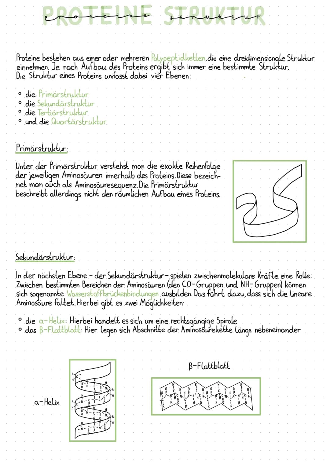 proteine struktur
Proteine bestehen aus einer oder mehreren Polypeptidketten, die eine dreidimensionale Struktur
einnehmen. Je nach Aufbau d