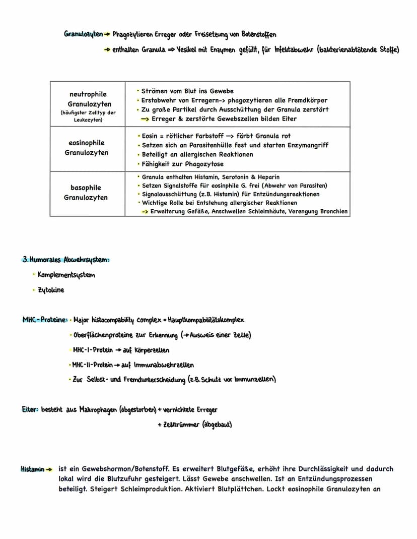 Allgemeines: angeboren
.
.
Leukozyten
(weiße Blutkörperchen)
UNSPEZIFISCHE IMMUNABWEHR
.
Gegen alle formen von Krankheitserregern/Körperfrem