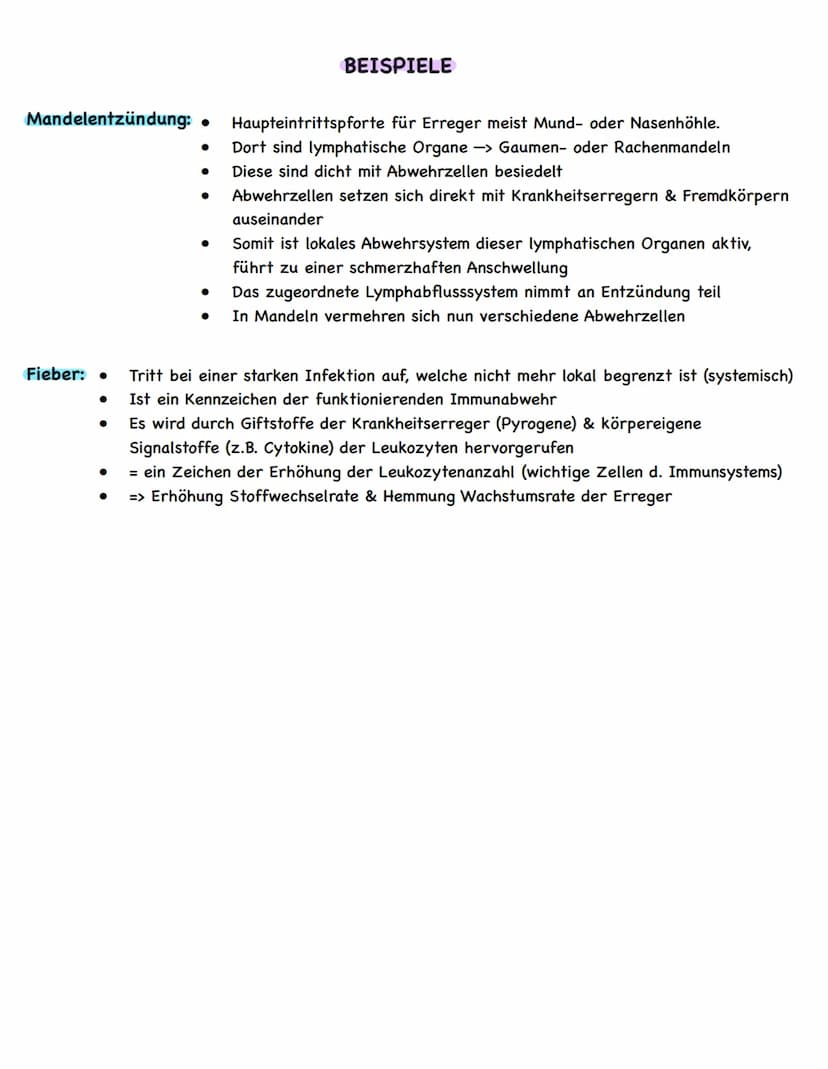 Allgemeines: angeboren
.
.
Leukozyten
(weiße Blutkörperchen)
UNSPEZIFISCHE IMMUNABWEHR
.
Gegen alle formen von Krankheitserregern/Körperfrem