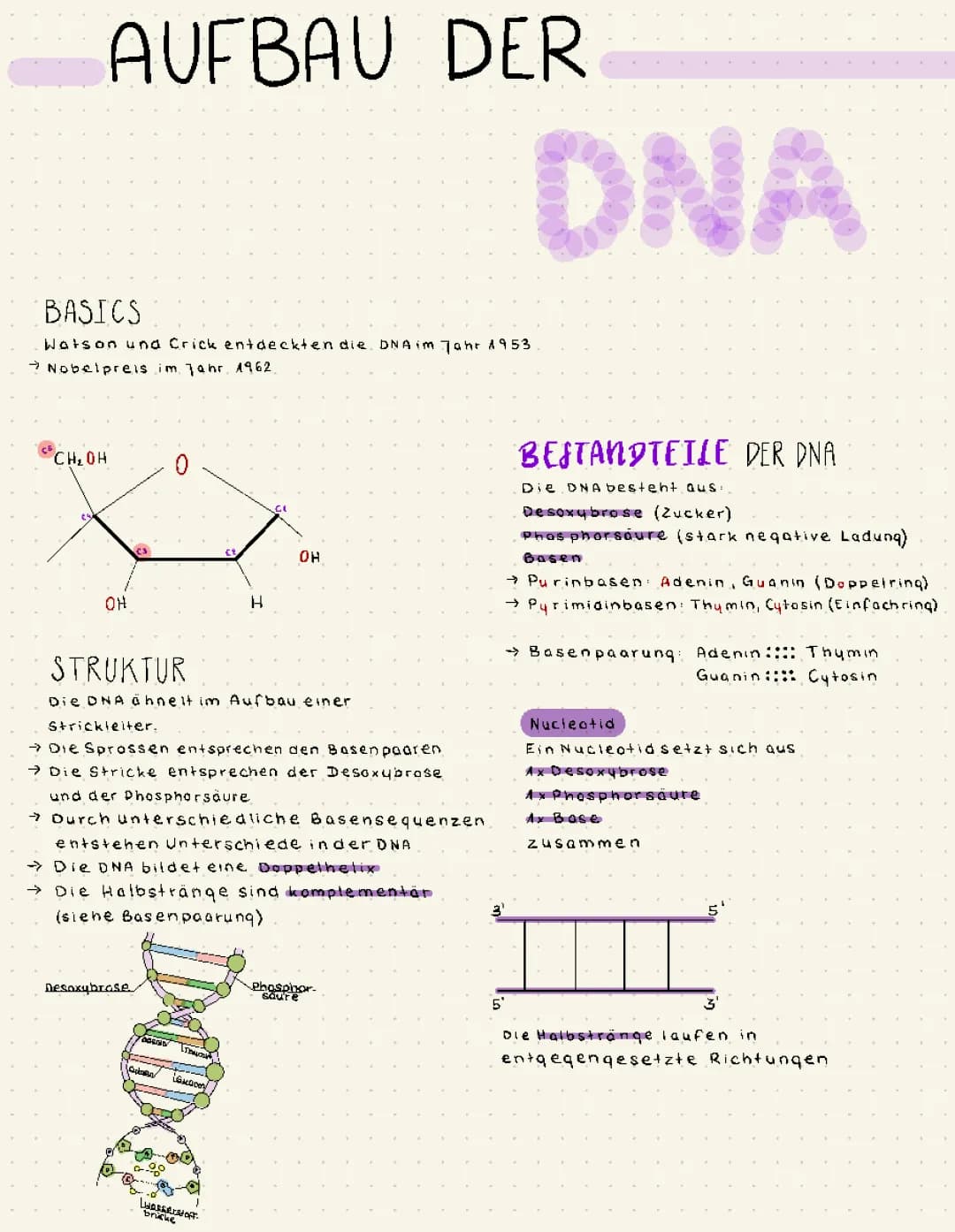 DNA