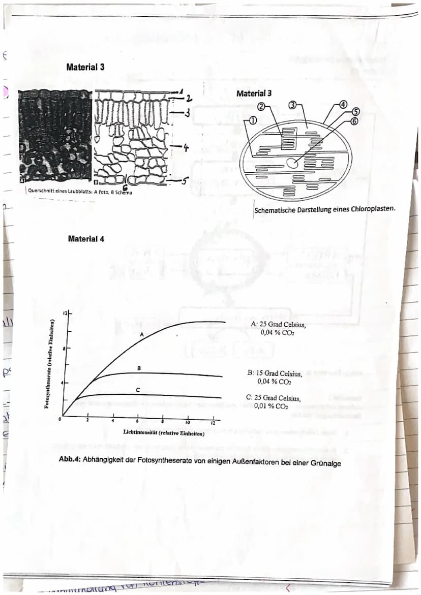 Zellatmung und Fotosynthese
1. Geben Sie die einzelnen Teilschritte sowie Zwischen- und Endprodukte der Zellatmung an,
indem Sie diese in de