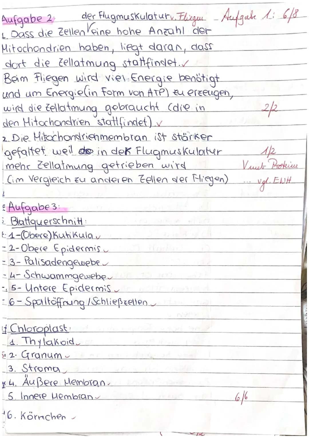 Zellatmung und Fotosynthese
1. Geben Sie die einzelnen Teilschritte sowie Zwischen- und Endprodukte der Zellatmung an,
indem Sie diese in de