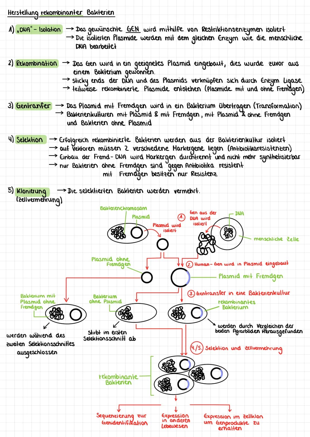 Gentechnik ist ein Sammelbegriff für verschiedene molekularbiologische Techniken. Sie ermöglicht
DUA unterschiedlicher Herkunft neu zu kombi