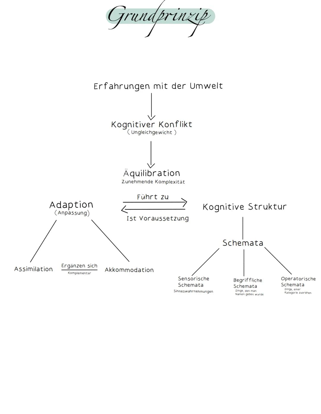 Kognitive Entwicklung nach Jean Piaget Fachbegriffe: Kognitive Entwicklung nach Jean Piaget
Egozentrismus:
Das Kind kann sich nicht in ander