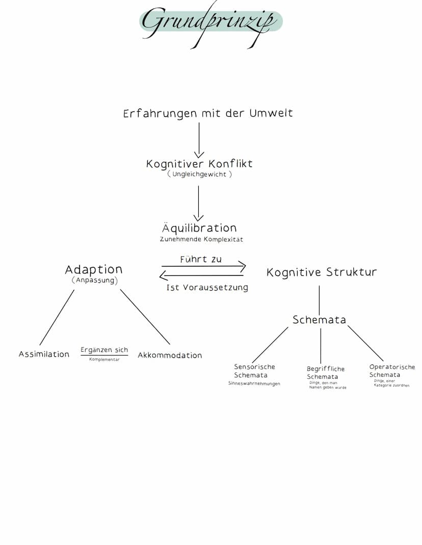Kognitive Entwicklung nach Jean Piaget Fachbegriffe: Kognitive Entwicklung nach Jean Piaget
Egozentrismus:
Das Kind kann sich nicht in ander