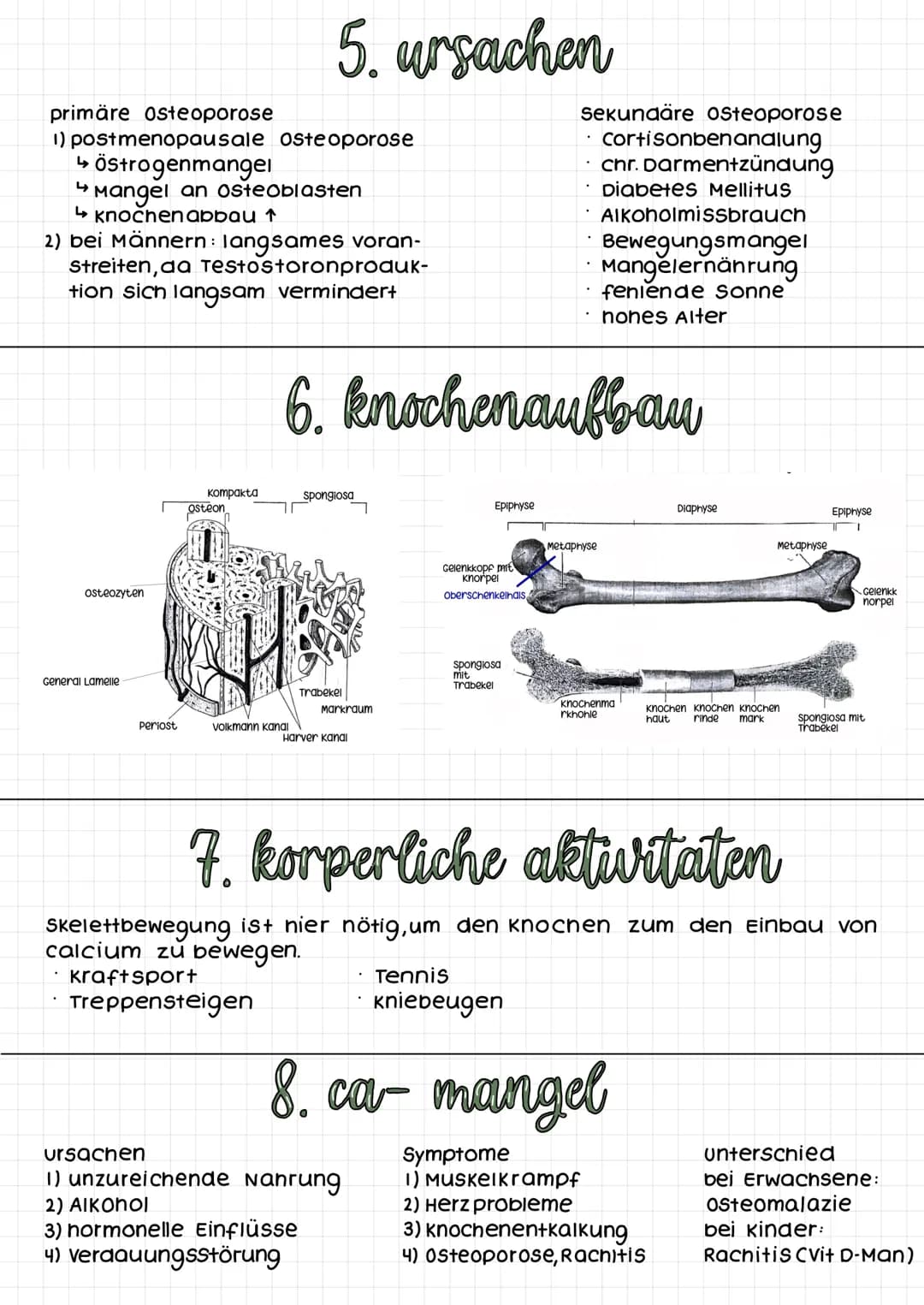 klausur: osteoporose
1) Definition
2) Symptome
3) Risikofaktoren
4) Lebensstilinter-
vention
5) ursachen
6) Knochenaufbau
7) körperliche Akt