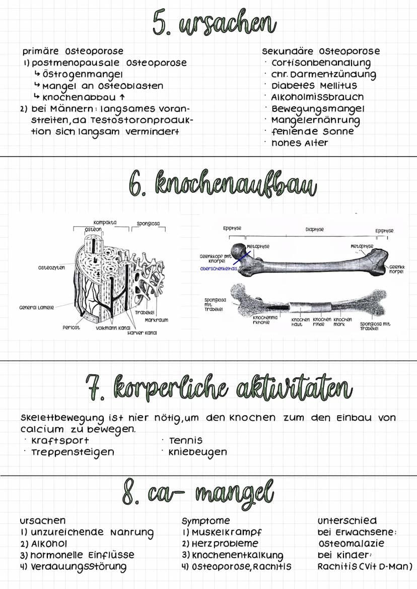 klausur: osteoporose
1) Definition
2) Symptome
3) Risikofaktoren
4) Lebensstilinter-
vention
5) ursachen
6) Knochenaufbau
7) körperliche Akt