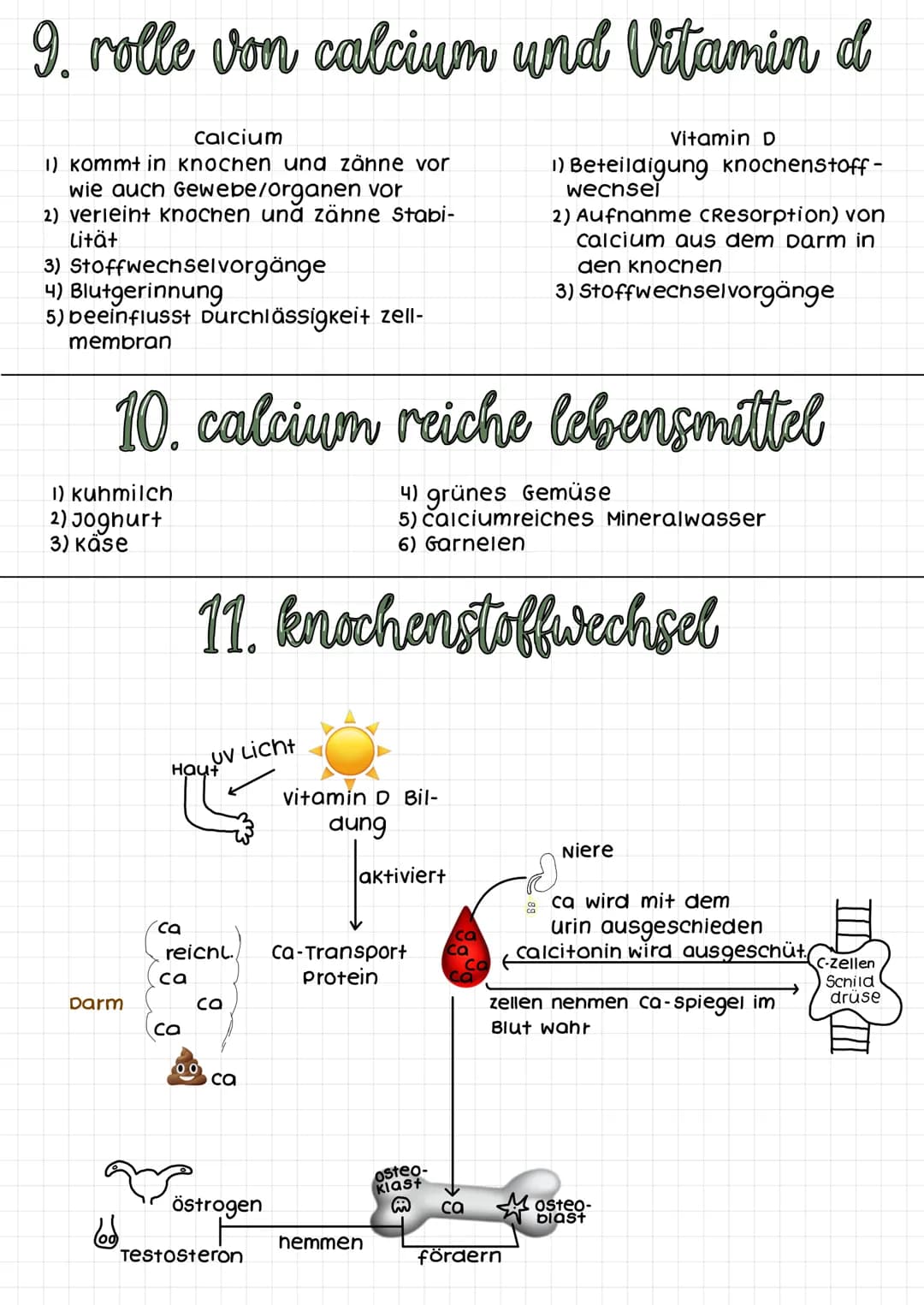klausur: osteoporose
1) Definition
2) Symptome
3) Risikofaktoren
4) Lebensstilinter-
vention
5) ursachen
6) Knochenaufbau
7) körperliche Akt