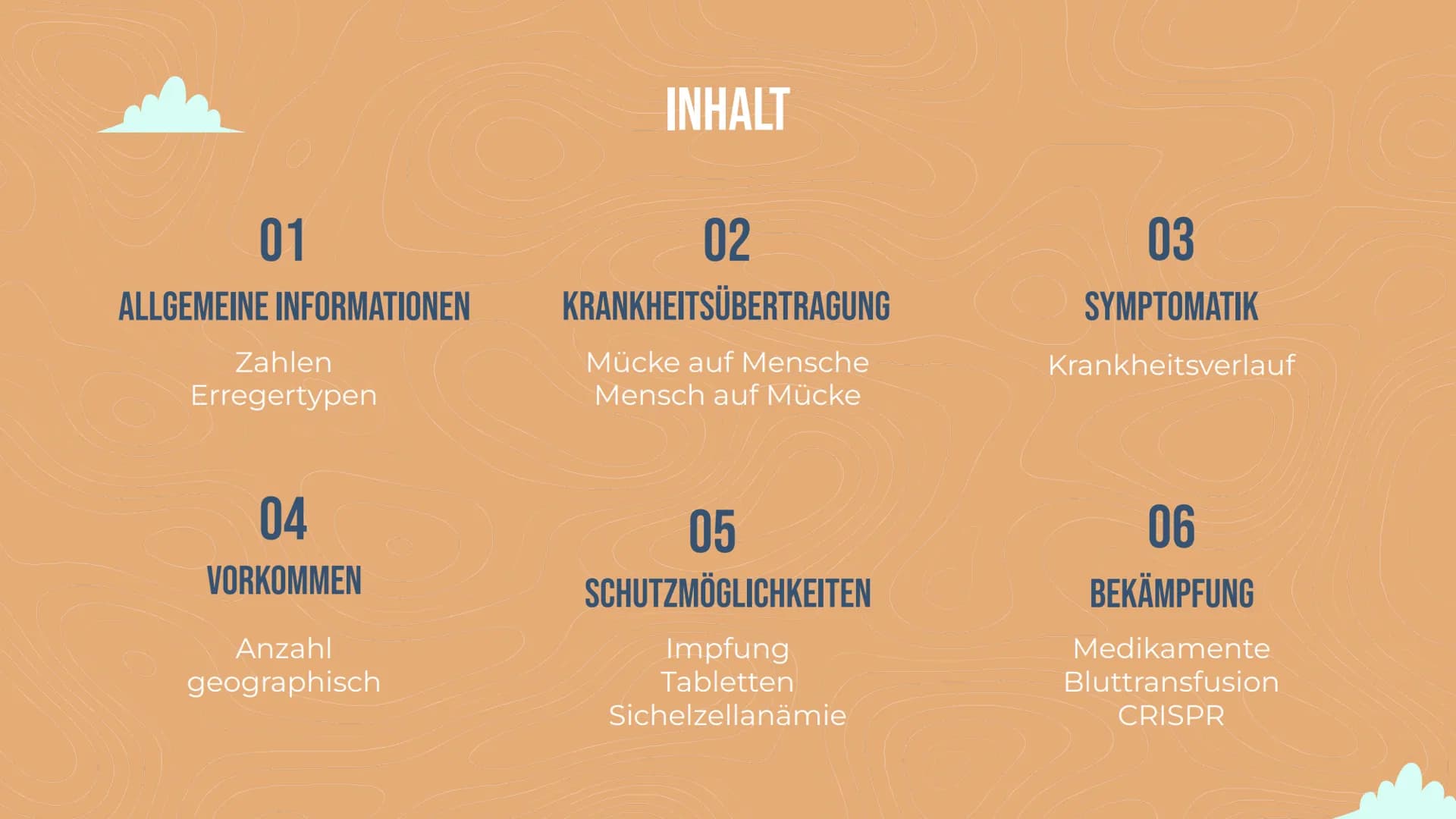 MALARIA
Von Lisa Reichert und Emma Schäfer 01
ALLGEMEINE INFORMATIONEN
Zahlen
Erregertypen
04
VORKOMMEN
Anzahl
geographisch
INHALT
02
KRANKH