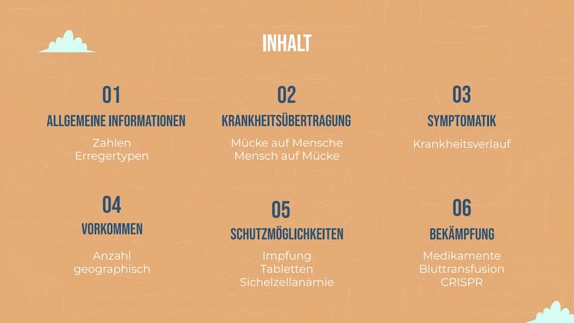 MALARIA
Von Lisa Reichert und Emma Schäfer 01
ALLGEMEINE INFORMATIONEN
Zahlen
Erregertypen
04
VORKOMMEN
Anzahl
geographisch
INHALT
02
KRANKH
