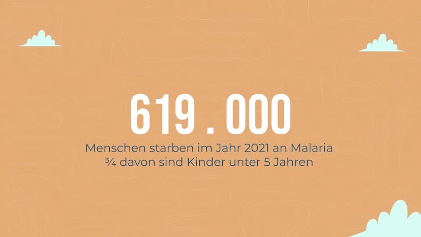 MALARIA
Von Lisa Reichert und Emma Schäfer 01
ALLGEMEINE INFORMATIONEN
Zahlen
Erregertypen
04
VORKOMMEN
Anzahl
geographisch
INHALT
02
KRANKH
