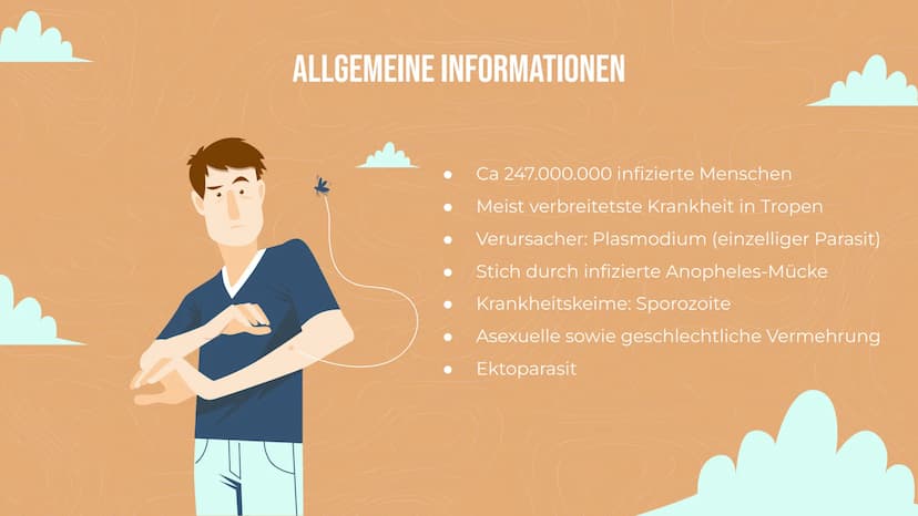 MALARIA
Von Lisa Reichert und Emma Schäfer 01
ALLGEMEINE INFORMATIONEN
Zahlen
Erregertypen
04
VORKOMMEN
Anzahl
geographisch
INHALT
02
KRANKH