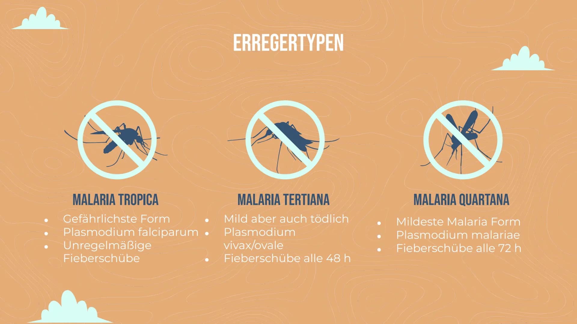 MALARIA
Von Lisa Reichert und Emma Schäfer 01
ALLGEMEINE INFORMATIONEN
Zahlen
Erregertypen
04
VORKOMMEN
Anzahl
geographisch
INHALT
02
KRANKH