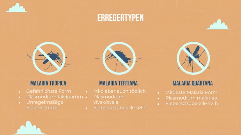 MALARIA
Von Lisa Reichert und Emma Schäfer 01
ALLGEMEINE INFORMATIONEN
Zahlen
Erregertypen
04
VORKOMMEN
Anzahl
geographisch
INHALT
02
KRANKH