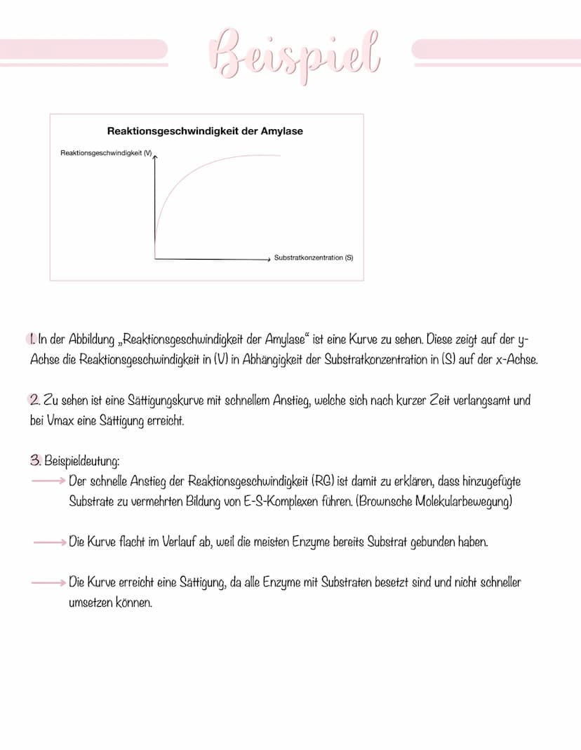  Biologie
Enzyme sind Proteine: Aufbau von Proteinen
Aus 1000en Aminosäuren, die zu einer Polypeptidkette verknüpft sind und zu einem Protei