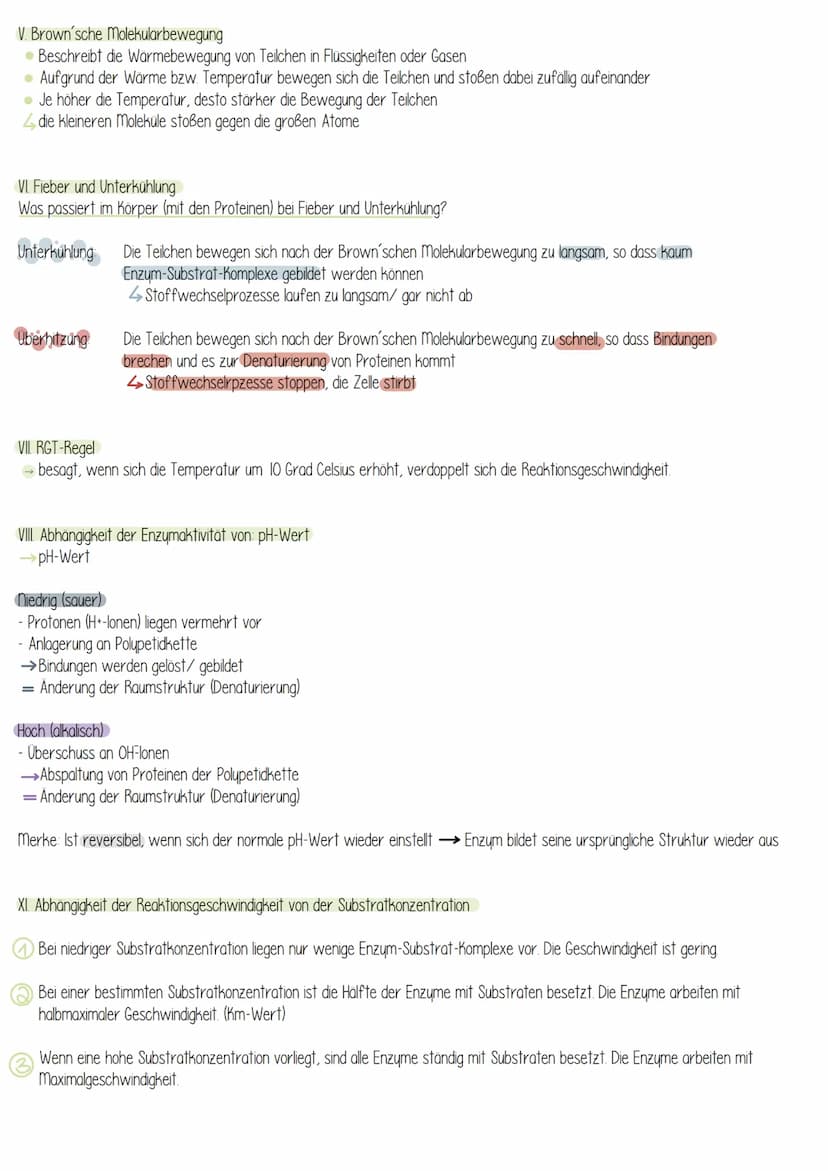  Biologie
Enzyme sind Proteine: Aufbau von Proteinen
Aus 1000en Aminosäuren, die zu einer Polypeptidkette verknüpft sind und zu einem Protei