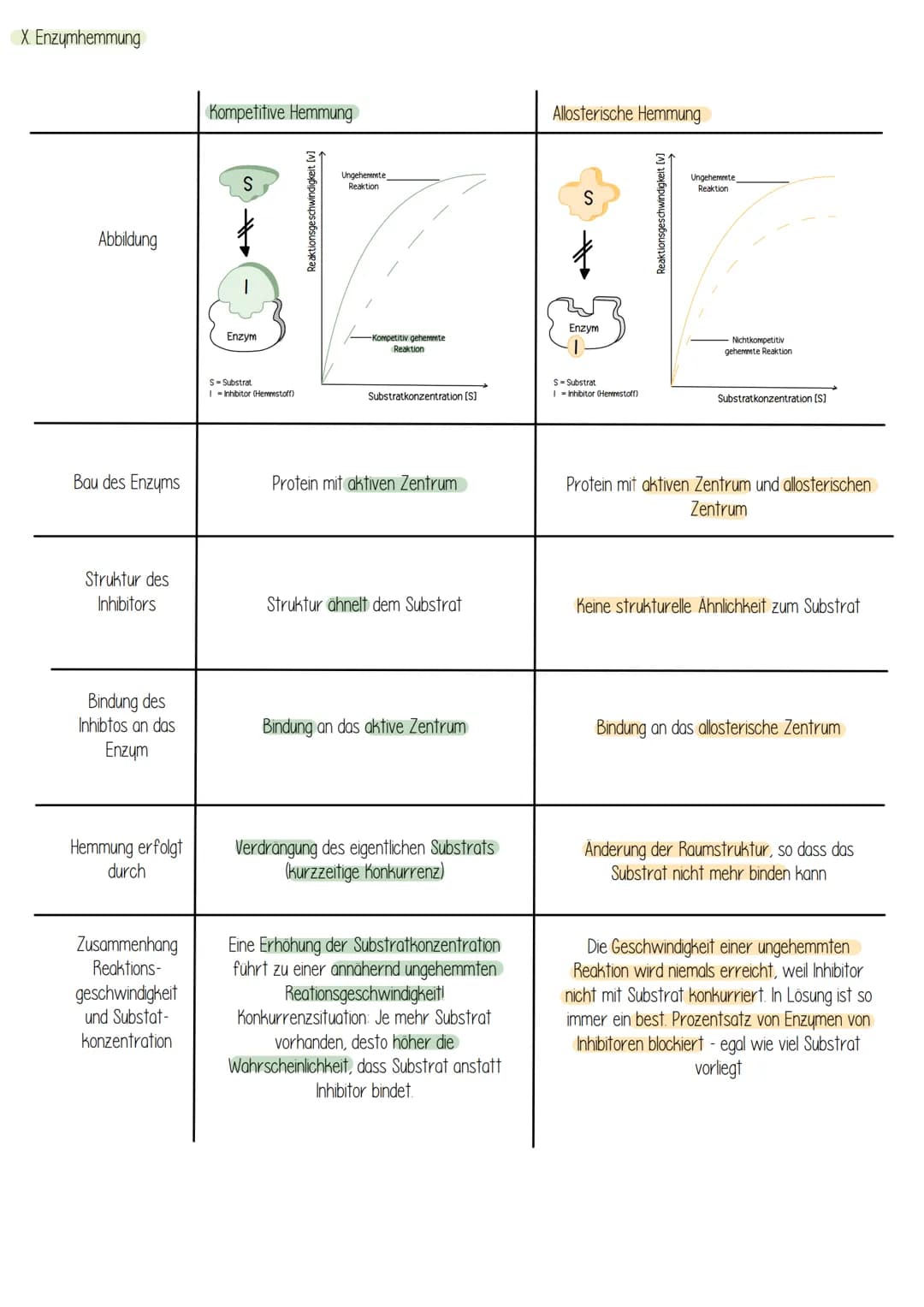  Biologie
Enzyme sind Proteine: Aufbau von Proteinen
Aus 1000en Aminosäuren, die zu einer Polypeptidkette verknüpft sind und zu einem Protei