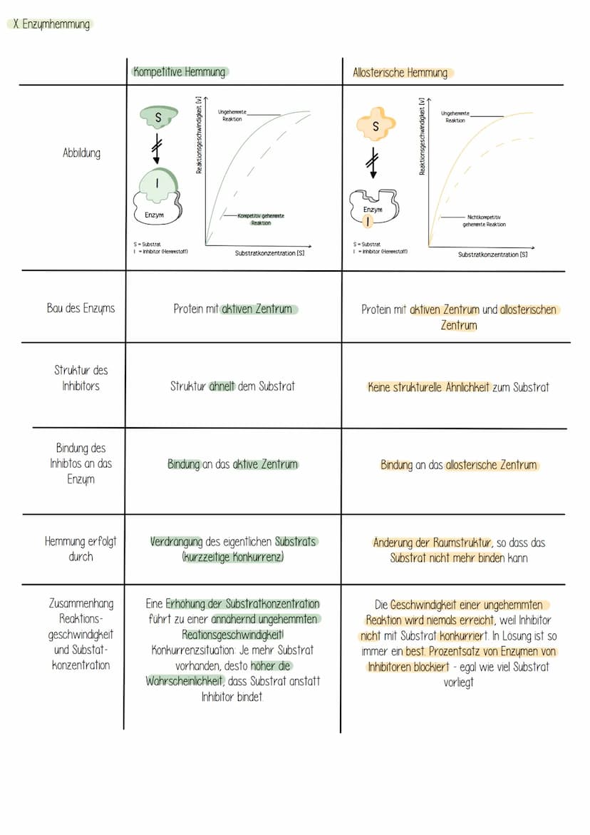  Biologie
Enzyme sind Proteine: Aufbau von Proteinen
Aus 1000en Aminosäuren, die zu einer Polypeptidkette verknüpft sind und zu einem Protei