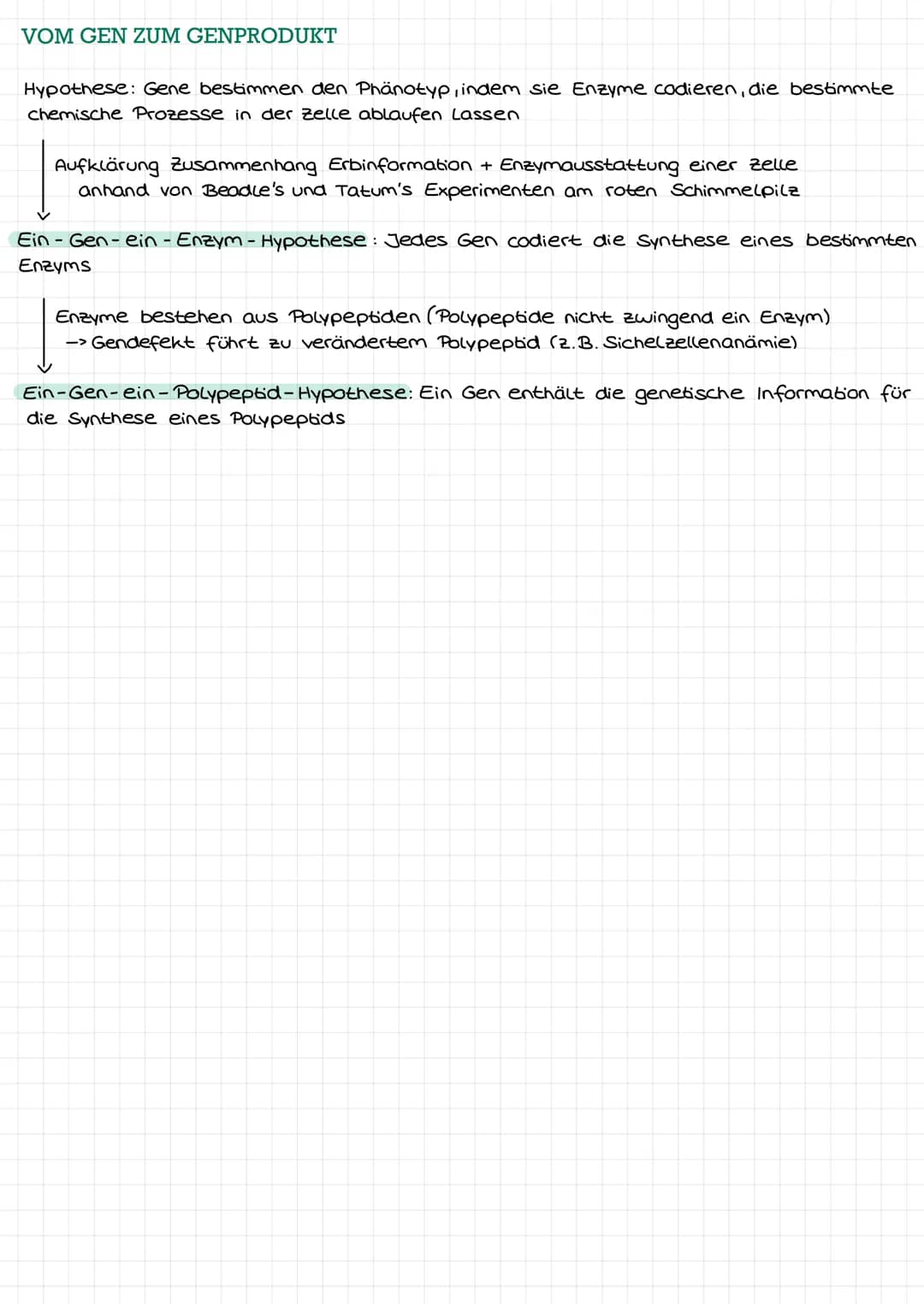 DNA ALS ERBSUBSTANZ
Griffith: transformierendes Prinzip"-> Information zur Kapselbildung der
S-in R-Bakterien gelangt
11
Avery: Isolierung +