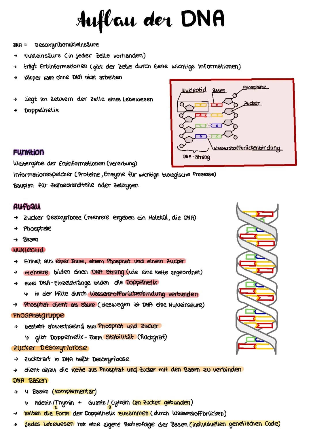 DNA(Q1) 