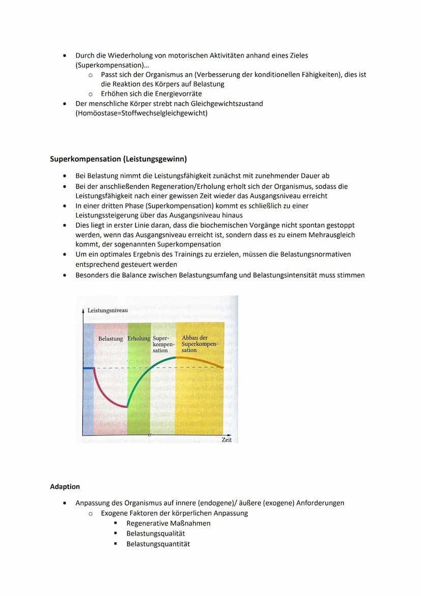 ●
●
●
Q1.1 Kondition
Komponente des Leistungszustandes = Leistungsfähigkeit des Sportlers
(gute Kondition: gleich gut entwickelte motorische