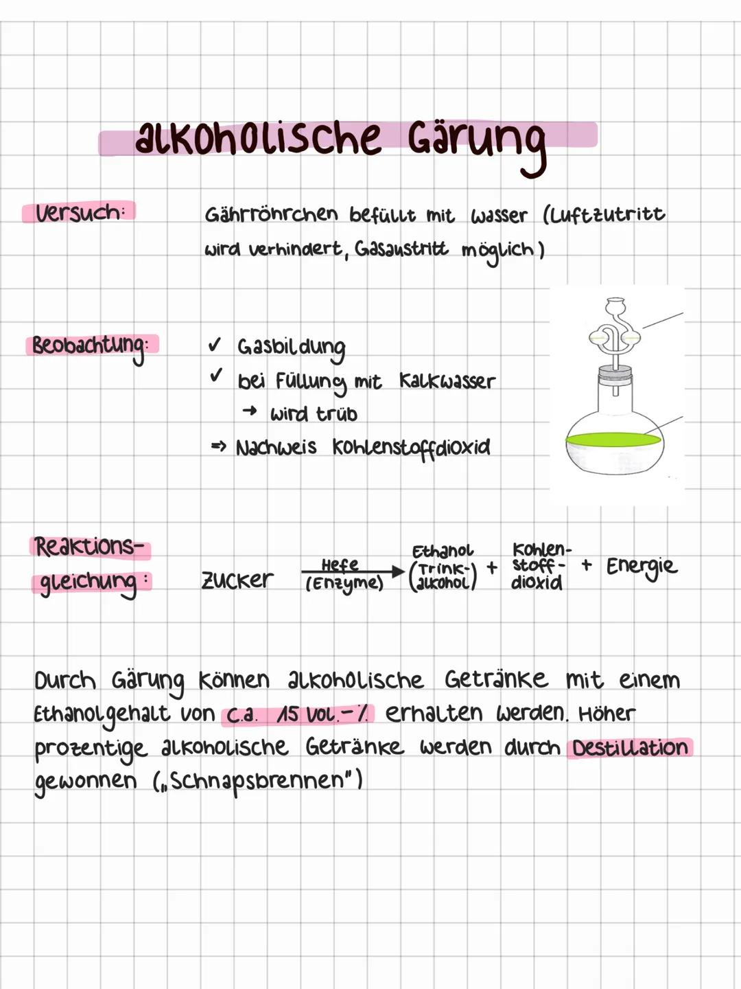 # alkoholische Gärung

Versuch:
Gährröhrchen befüllt mit wasser (Luftzutritt
wird verhindert, Gasaustritt möglich)

Beobachtung:
✓ Gasbildun