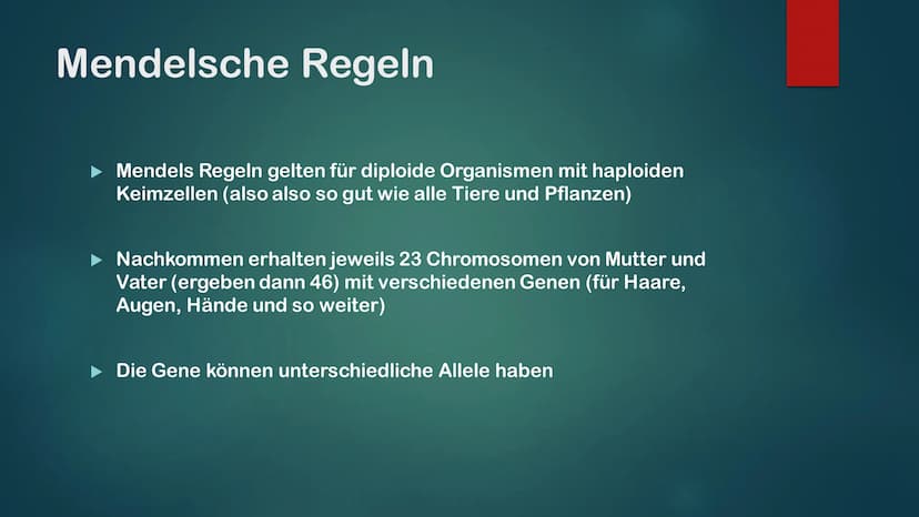 KLASSISCHE GENETIK
KLASSISCH ZUSAMMENGEFASST Gene und Allele
Gene
Erbanlage für bestimme Merkmale
Kleiner Abschnitt auf der DNA
Bauplan für 