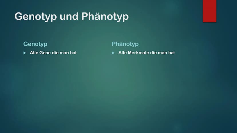 KLASSISCHE GENETIK
KLASSISCH ZUSAMMENGEFASST Gene und Allele
Gene
Erbanlage für bestimme Merkmale
Kleiner Abschnitt auf der DNA
Bauplan für 