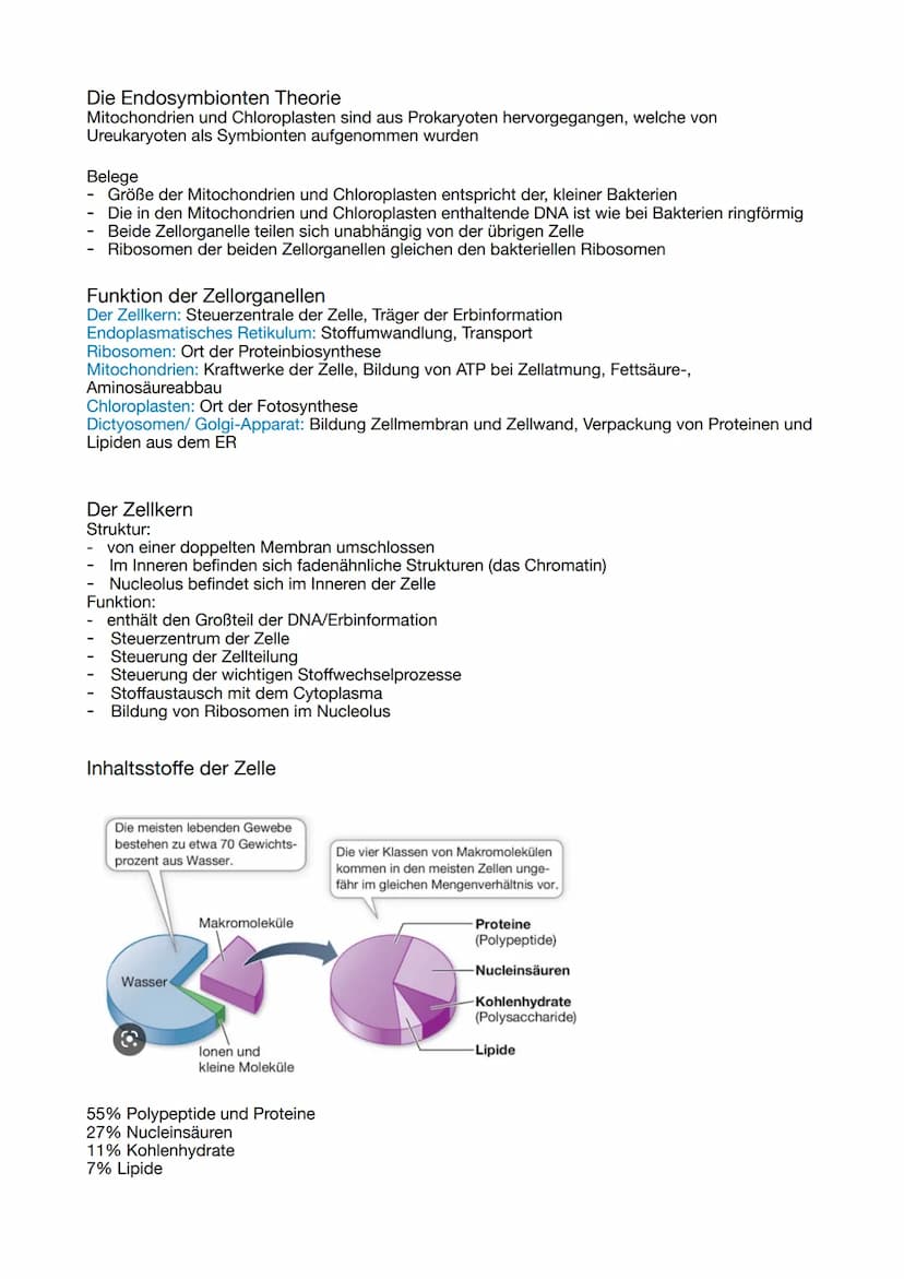 ABITUR 2023
Lernzettel Genetik
Evolution
BIOLOGIE
Ökologie
Neurologie GENETIK
Die Zelle, der Zellkern und der Zellzyklus
Osmose
Grundlage fü