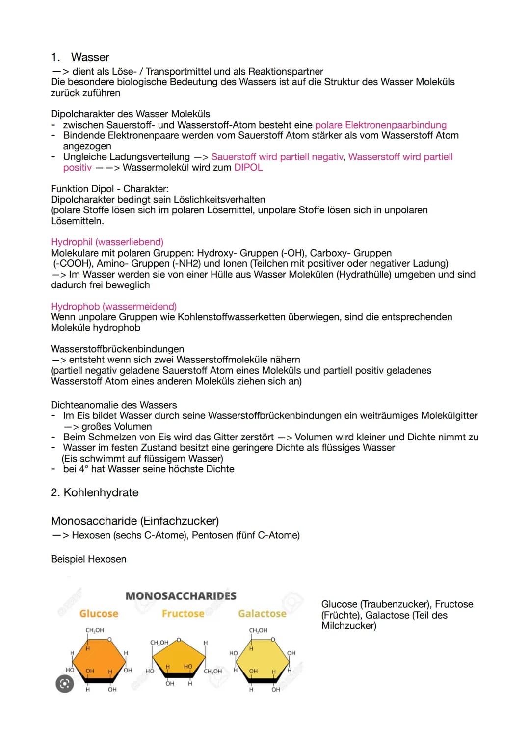 ABITUR 2023
Lernzettel Genetik
Evolution
BIOLOGIE
Ökologie
Neurologie GENETIK
Die Zelle, der Zellkern und der Zellzyklus
Osmose
Grundlage fü