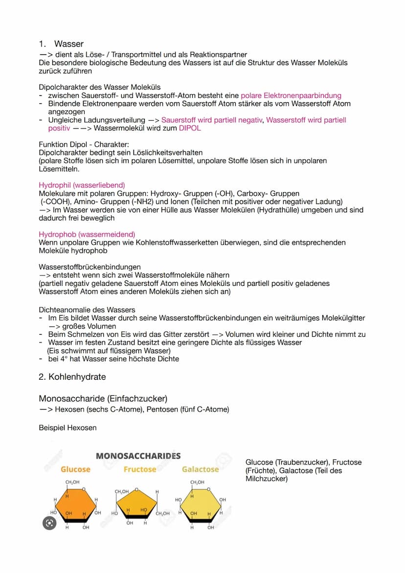 ABITUR 2023
Lernzettel Genetik
Evolution
BIOLOGIE
Ökologie
Neurologie GENETIK
Die Zelle, der Zellkern und der Zellzyklus
Osmose
Grundlage fü