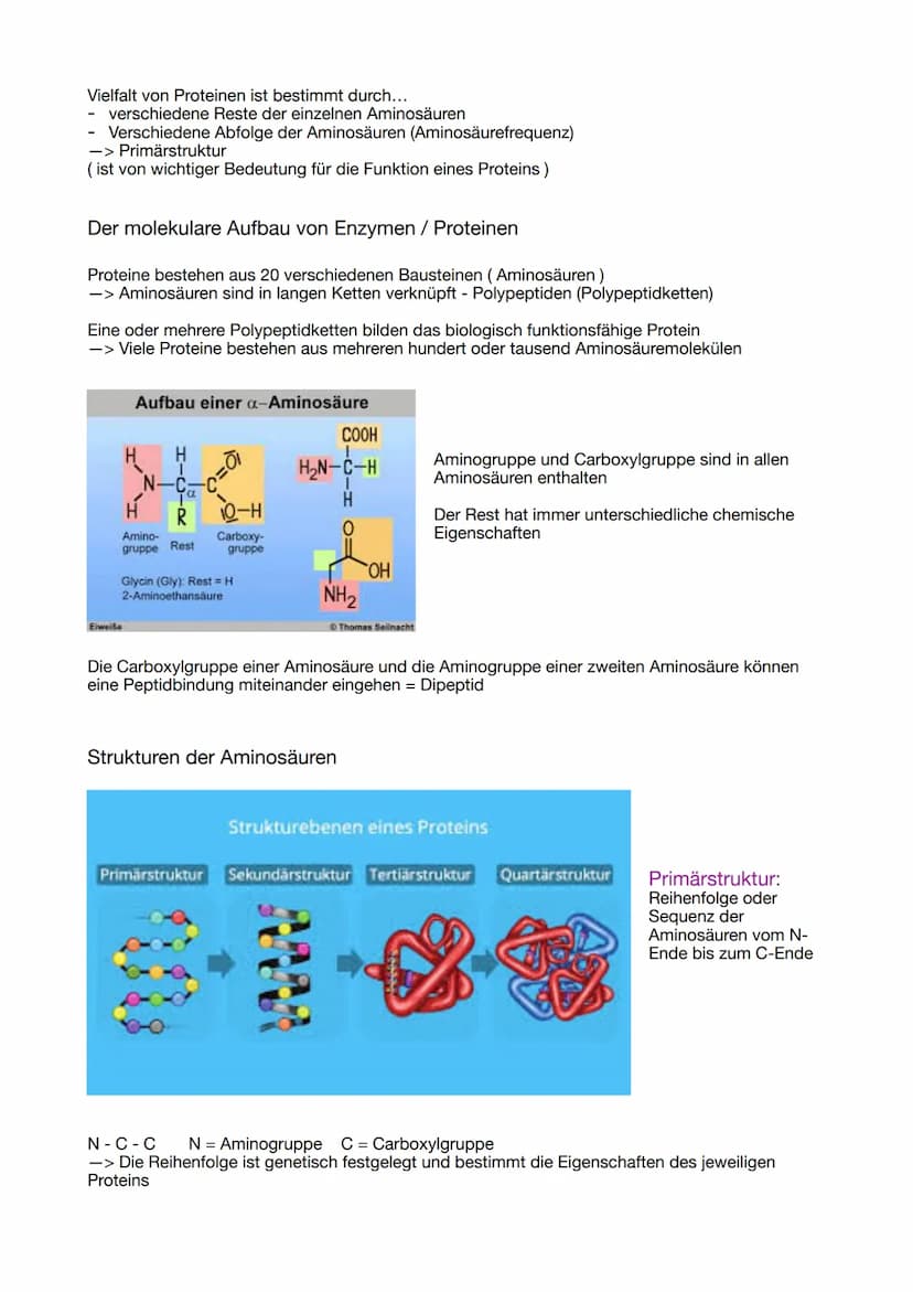 ABITUR 2023
Lernzettel Genetik
Evolution
BIOLOGIE
Ökologie
Neurologie GENETIK
Die Zelle, der Zellkern und der Zellzyklus
Osmose
Grundlage fü