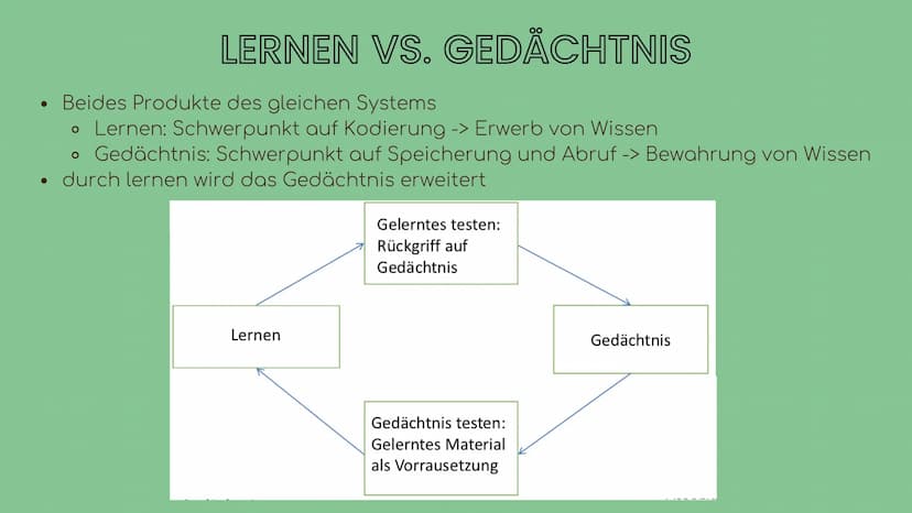 Lernen
Was ist
Lerner
●
●
Gedächnistypen
Ultrakurzzeitgedächtnis (wenige Sekunden)
Kurzzeitgedächtnis bei dem Strukturen des Hirns (Synapsen