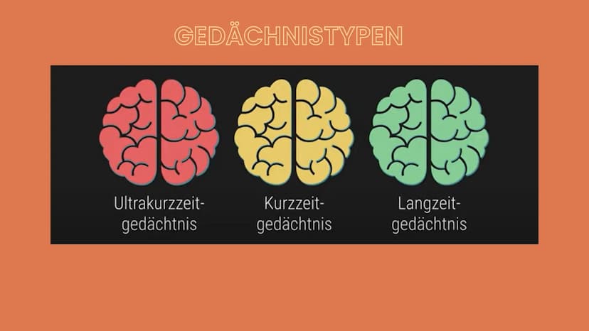 Lernen
Was ist
Lerner
●
●
Gedächnistypen
Ultrakurzzeitgedächtnis (wenige Sekunden)
Kurzzeitgedächtnis bei dem Strukturen des Hirns (Synapsen