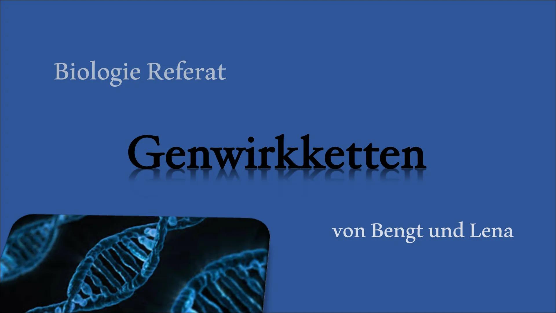  Biologie Referat
Genwirkketten
von Bengt und Lena Inhaltsangabe
Was sind
Genwirkketten?
Genwirkketten am Beispiel
von Blütenfarben
Ein-Gen-