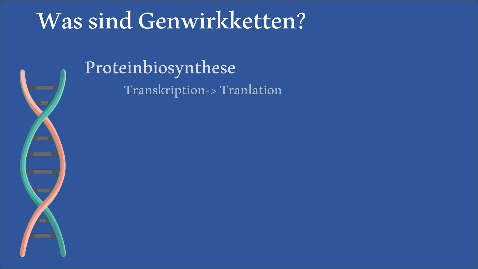  Biologie Referat
Genwirkketten
von Bengt und Lena Inhaltsangabe
Was sind
Genwirkketten?
Genwirkketten am Beispiel
von Blütenfarben
Ein-Gen-
