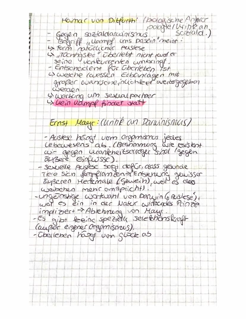 (Sozia biarwinismus)
um
Begriff Hampf ums Dasein" wurde
Sozial darwinisten
- (Begriff wurde
des angepasstesien (fittesten).
fehlinterpretier