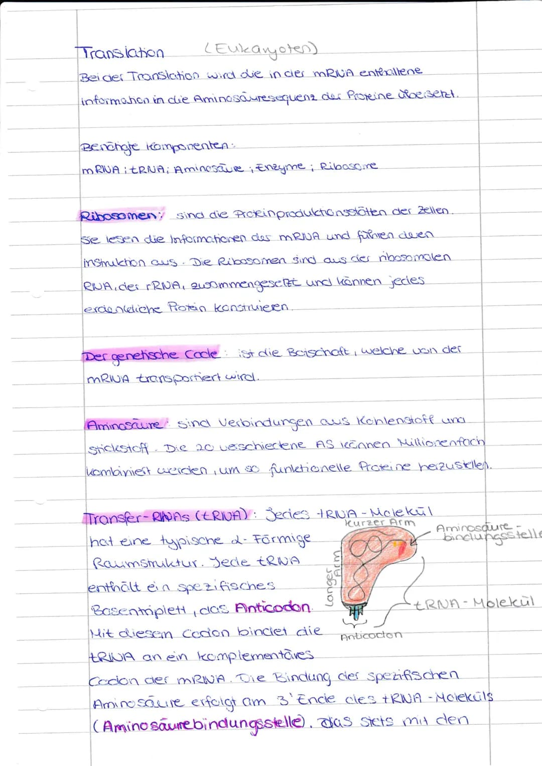 <h2 id="proteinbiosyntheseablauf">Proteinbiosynthese Ablauf</h2>
<h3 id="initiationtranslation">Initiation Translation</h3>
<p>Der Ablauf de