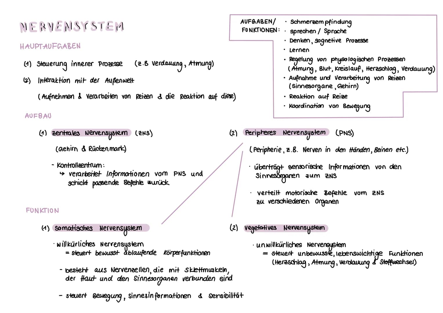 NERVENSYSTEM
HAUPTAUFGABEN
(1) Steuerung innerer Prozesse (z.B Verdauung, Atmung)
(2) Interaktion mit der Außenwelt
(Aufnehmen & Verarbeiten