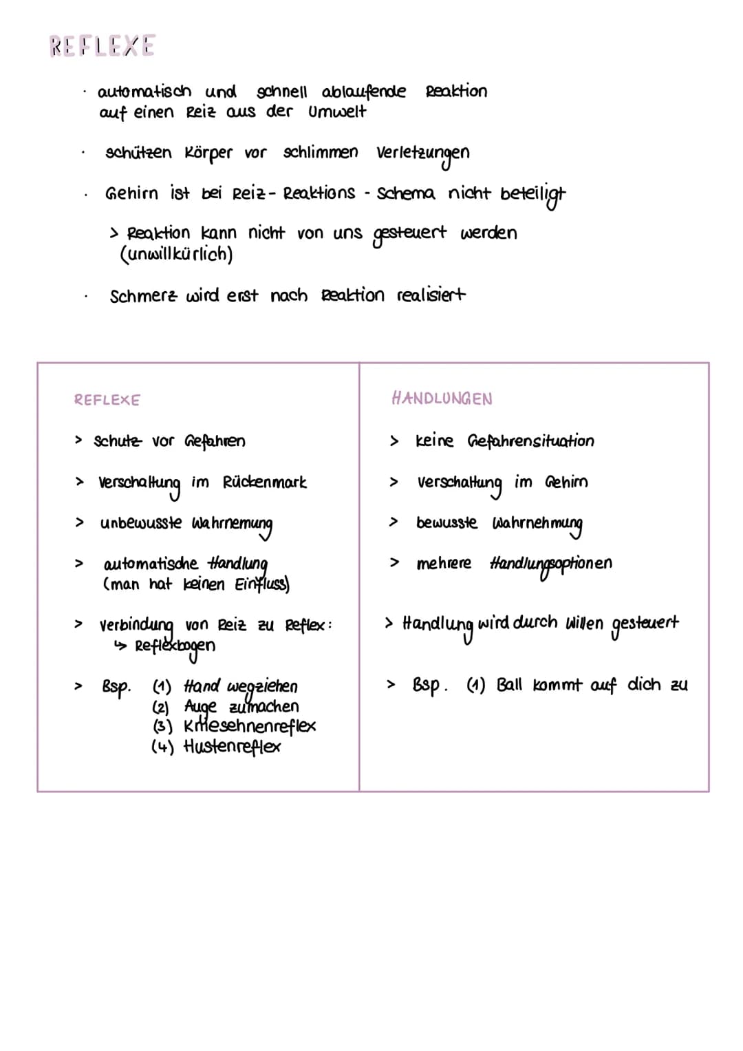 NERVENSYSTEM
HAUPTAUFGABEN
(1) Steuerung innerer Prozesse (z.B Verdauung, Atmung)
(2) Interaktion mit der Außenwelt
(Aufnehmen & Verarbeiten