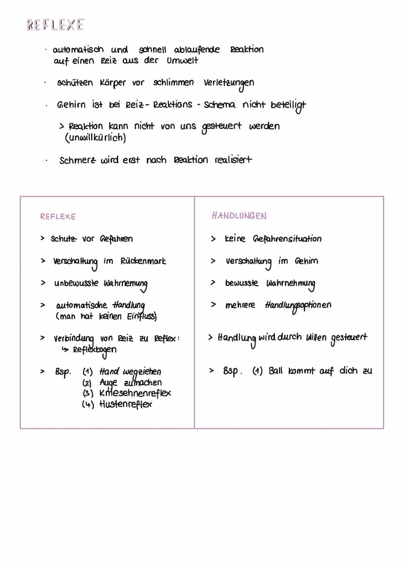 NERVENSYSTEM
HAUPTAUFGABEN
(1) Steuerung innerer Prozesse (z.B Verdauung, Atmung)
(2) Interaktion mit der Außenwelt
(Aufnehmen & Verarbeiten