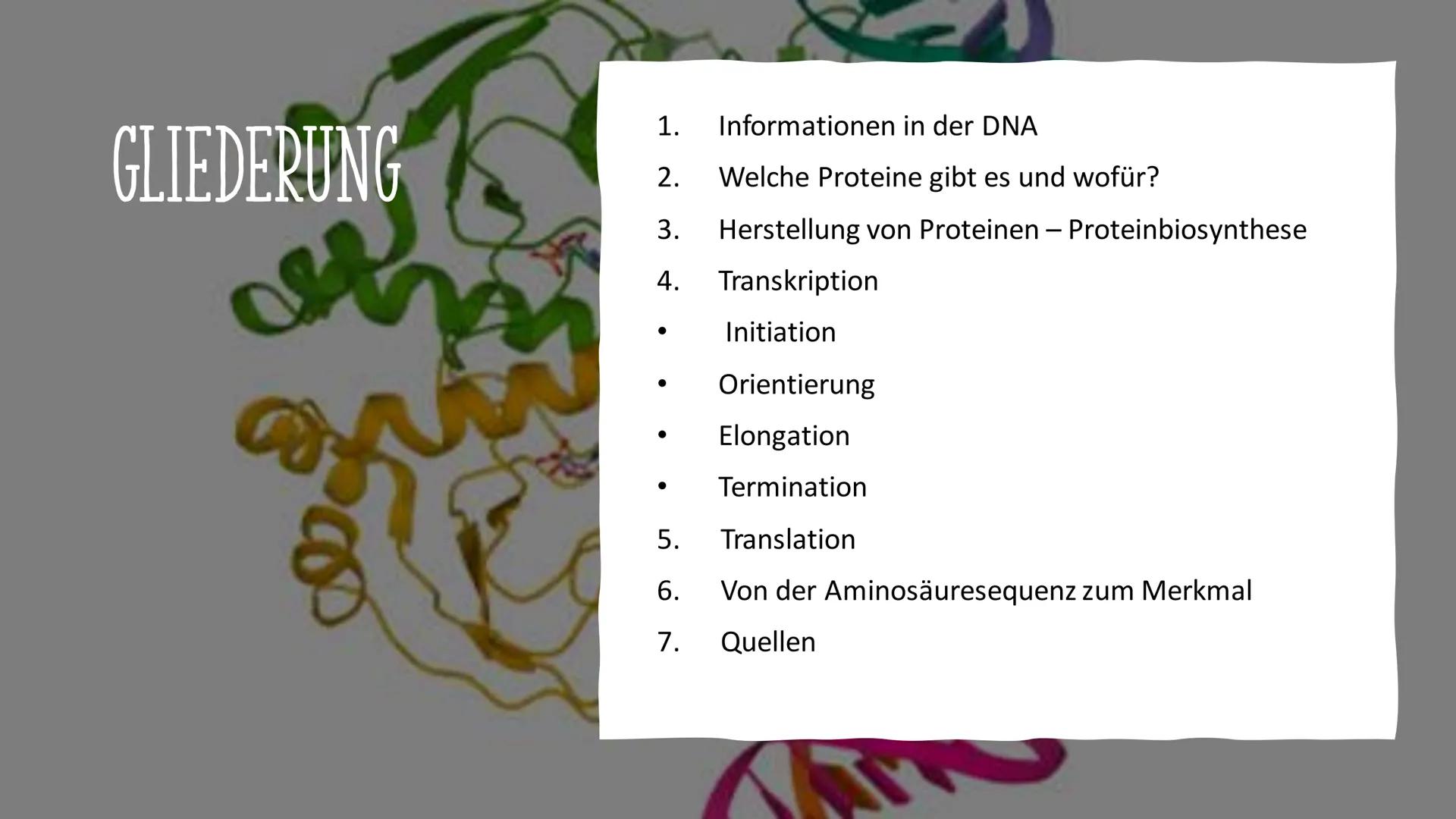 # VOM GEN ZUM MERKMAL

Sarah und Antonia
C
S
T
A
S
P
P
S
T
A
S
P
P Informationen in der DNA
2. Welche Proteine gibt es und wofür?
1. 
GLIEDE