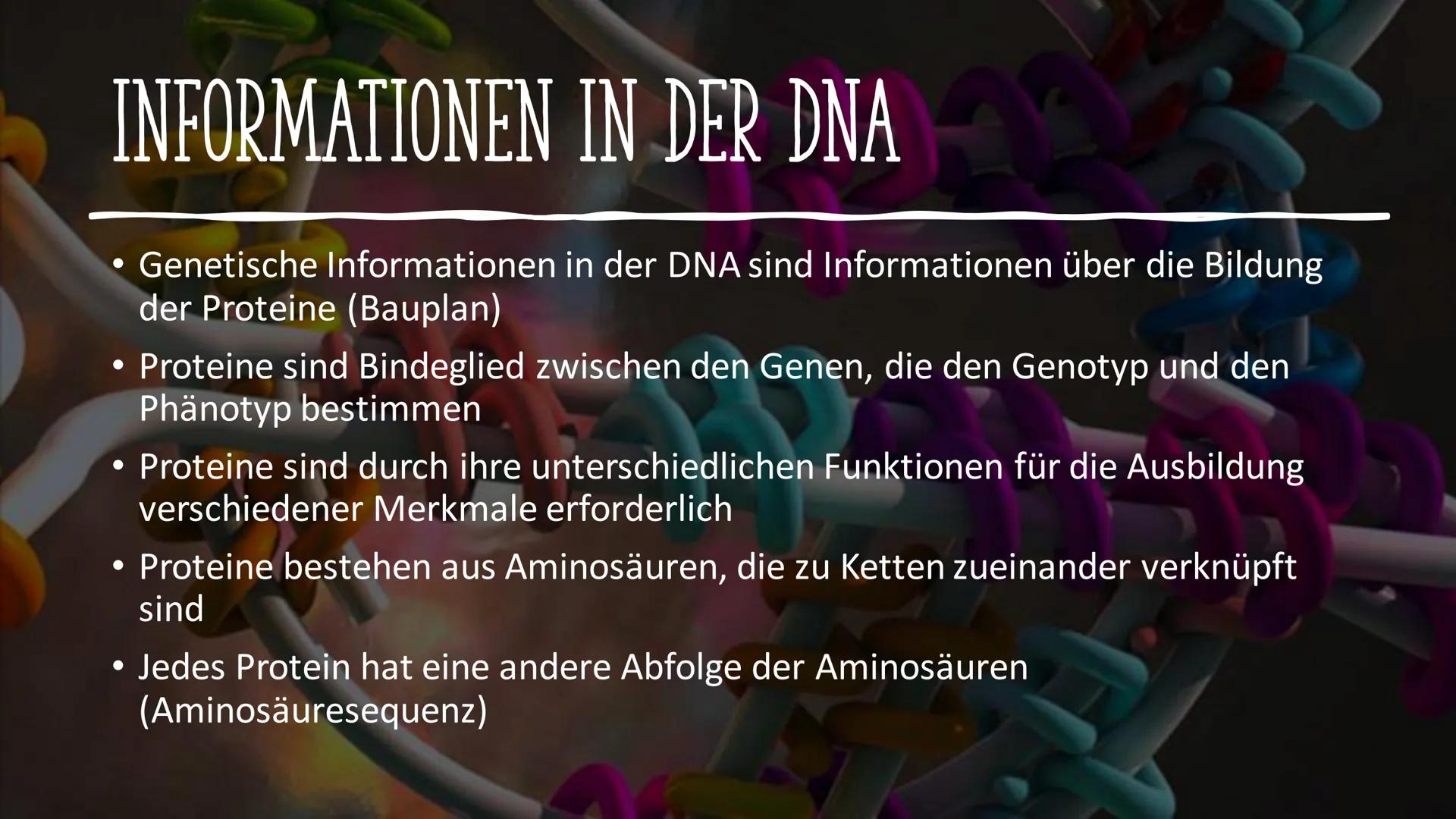 # VOM GEN ZUM MERKMAL

Sarah und Antonia
C
S
T
A
S
P
P
S
T
A
S
P
P Informationen in der DNA
2. Welche Proteine gibt es und wofür?
1. 
GLIEDE