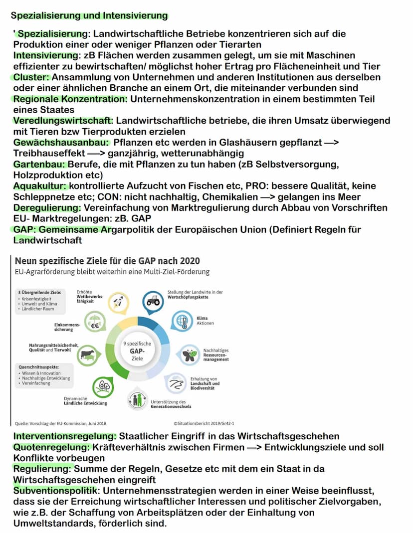 Strukturwandel in US-Amerikanischen Landwirtschaft
AgrObusiness: es handelt sich um eine agroindutrielle Organisation- und
Produktionsform. 