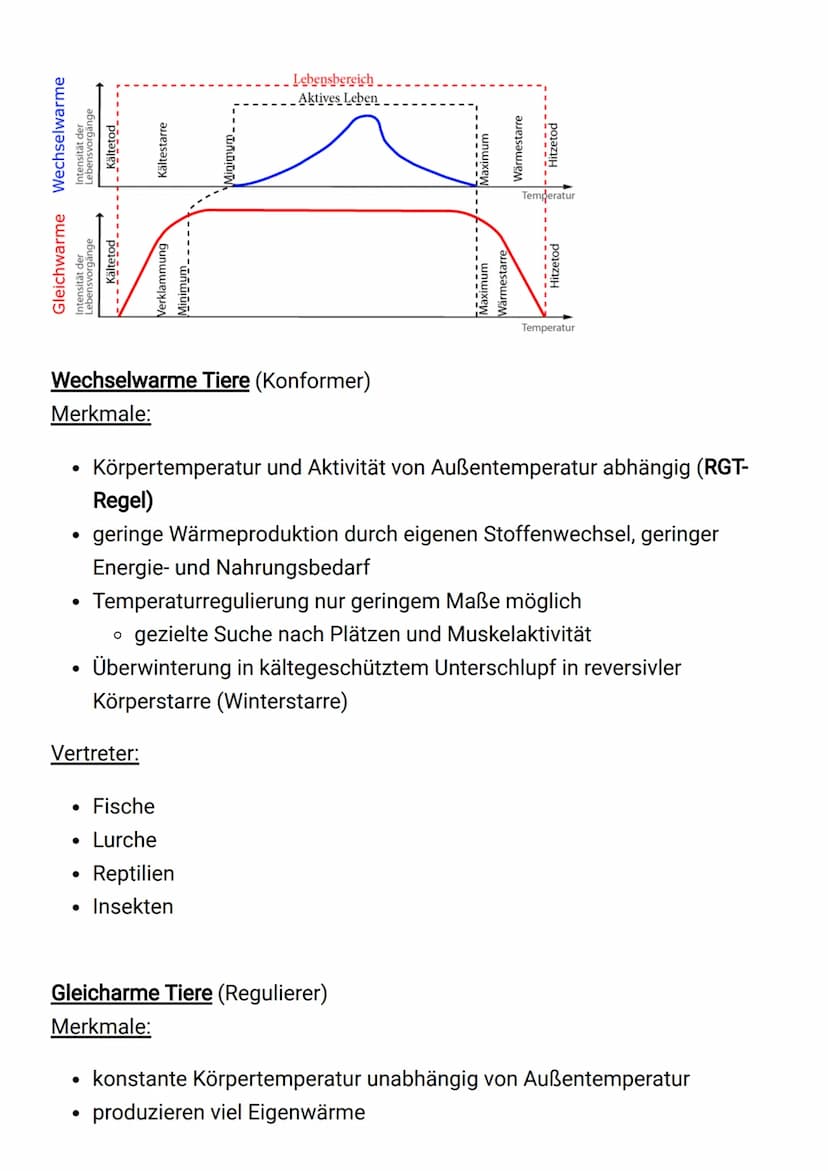 Hypoosmotisch:
Flüssigkeit innerhalb des Körpers weist eine niedrigere Konzentration als
das umgebede Wasser auf.
• führt zu konstanten Wass