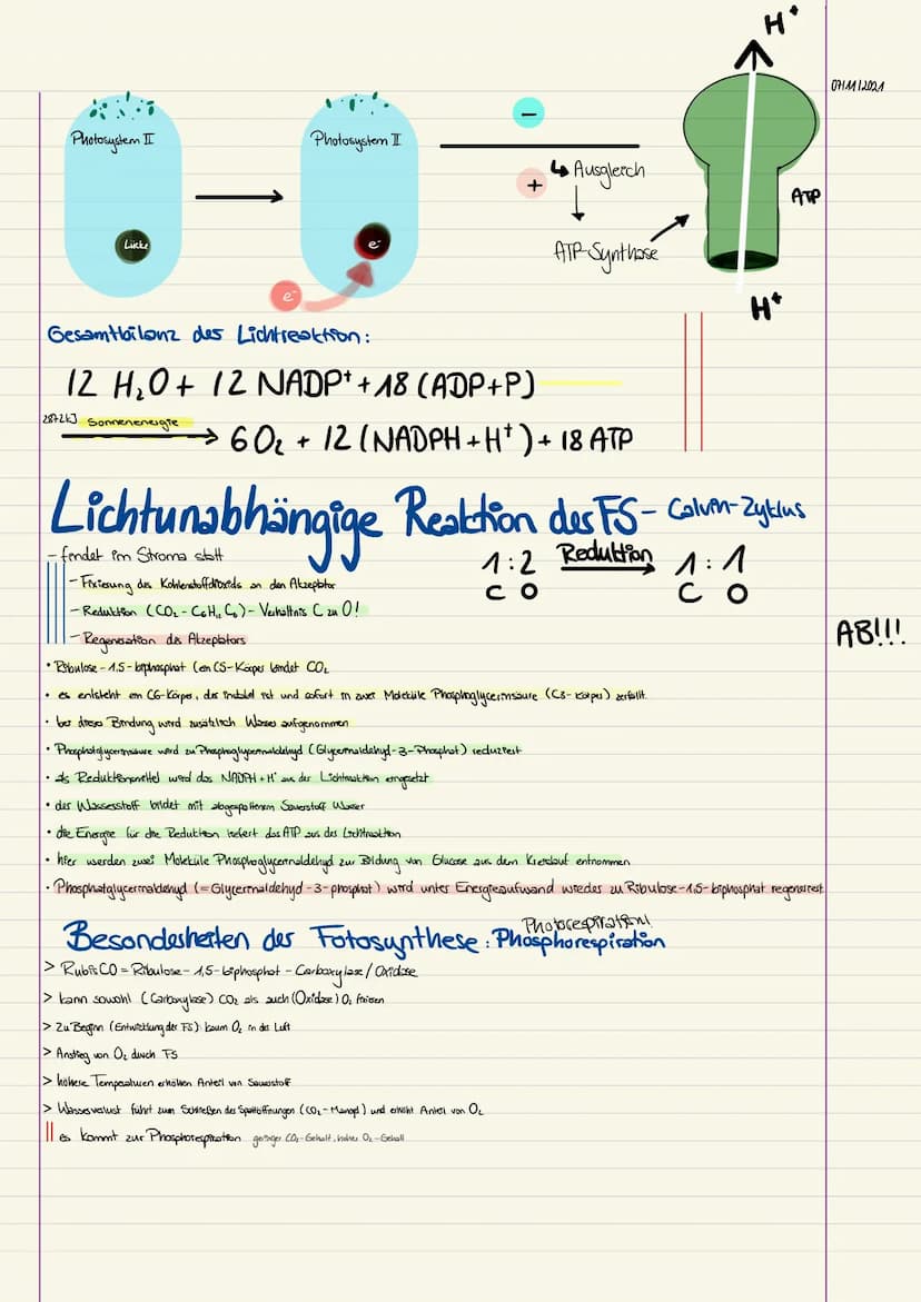 Stoffwechsel (Metabolismus)
ATP-Adenosin-Tri - Phosphat
Adenin = Stickstofflause Ribose: Einfachzucker mit 5 CAlomen ~ Monosaccharid
Ein ATP