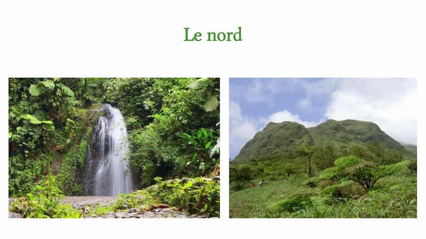 ●
Langue officielle: français
Habitants: 320.000
Chef-lieu: Fort-de-France
Département d'outre-mer de la partie française
Statut: Collectivi