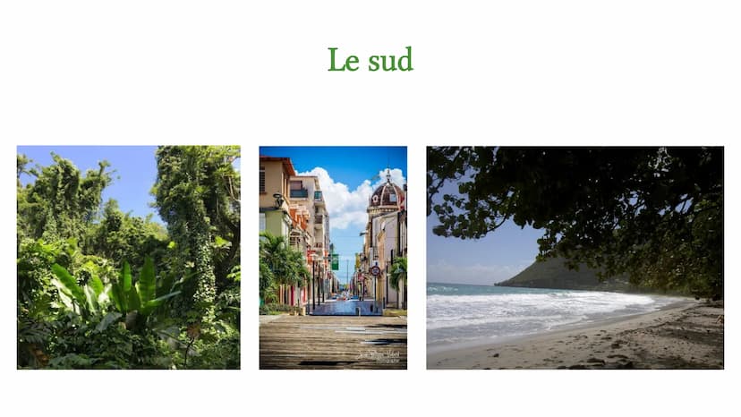 ●
Langue officielle: français
Habitants: 320.000
Chef-lieu: Fort-de-France
Département d'outre-mer de la partie française
Statut: Collectivi