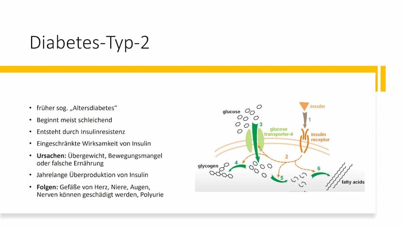  insulin
Diabetes mellitus
Von Nikolas Schmieg
E Was ist Diabetes
mellitus?
• griech. Staßaívelv= durchfließen
lat. mellitus honigsüß
• Haup