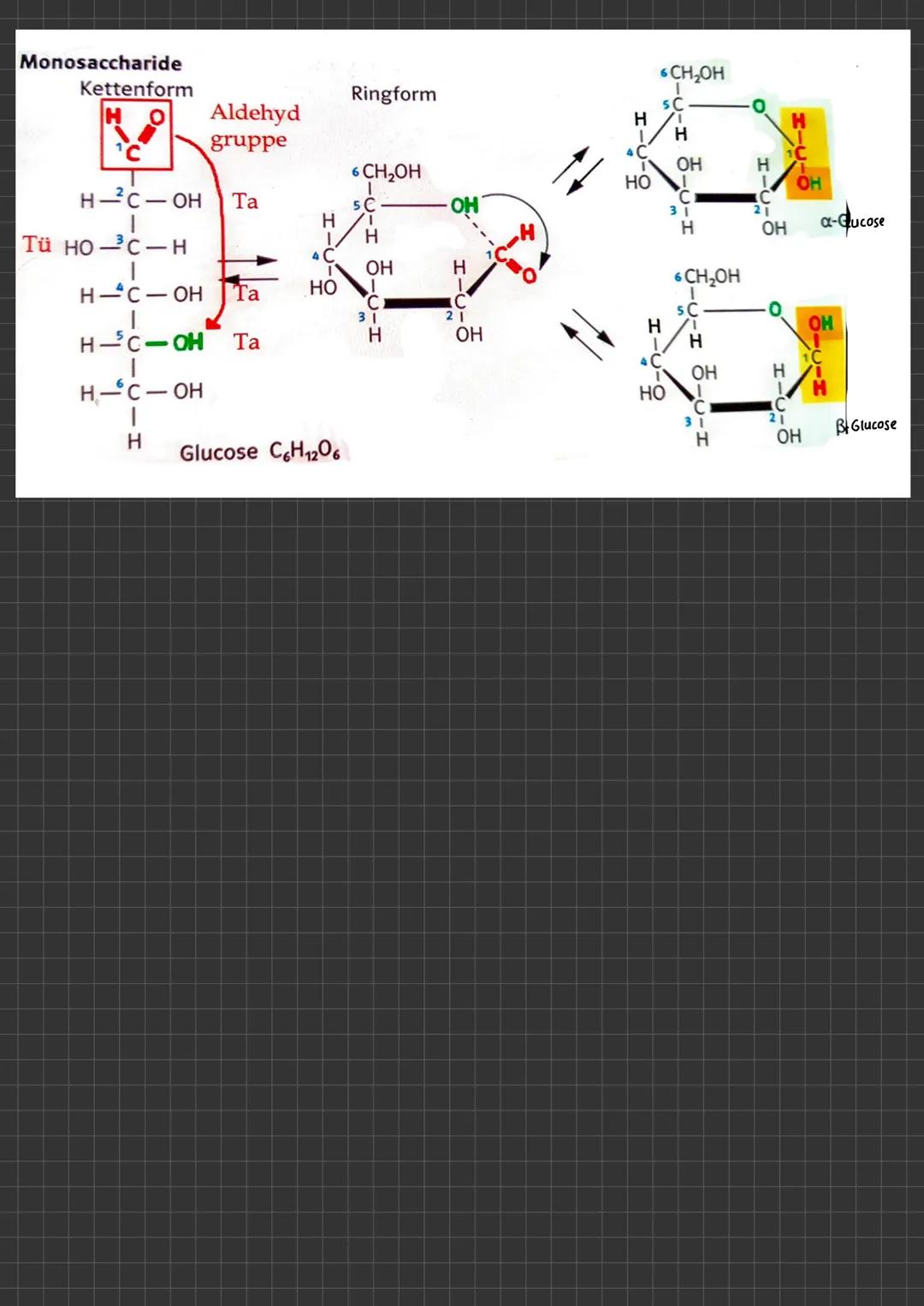 ABLAUF EINER ENZYHATISCHEN KATALYSIERTEN REAKTION
aktives
Zentrum
ENZYMATIK
$4
S
E
A+B
Enzym E+ Substrat S
ENZYME-WERKZEUGE DER ZELLE Was si